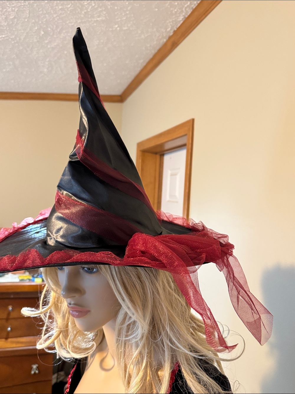 Women's Black and Burgundy Witch Costume Dress with Matching Hat - Picture 6 of 7